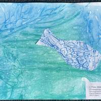 2024_Gruppe_A_-_2._Preisco_Kulturring_Straelen